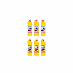 Domestos Citrus Bleach 750ml  (Pack of 6)