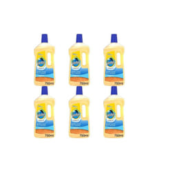 Pledge Gentle Wood Floor Cleaner - 750ml (320812) (Pack of 6)