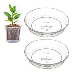 2 Clear Orchid Plant Pot Saucer Dish For 11cm-18cm Orchid Pots 14cm