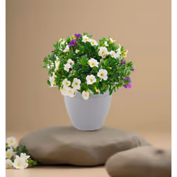 Small Grey Round Plant Pot 20cm Plastic Bell Planter Flower Pot