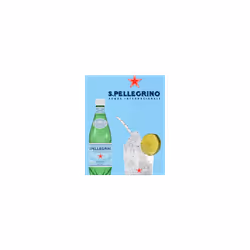 San Pellegrino sparkling water 24 x 500