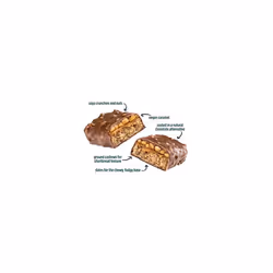 TREK Protein Power Bar Millionaire Shortbread - Plant Based - Gluten Free - Vegan Snack - 55g x 16 bars