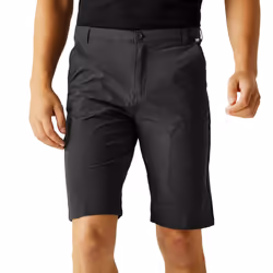Regatta Mens Highton Long Cargo Hiking Walking Shorts - 30, Seal Grey