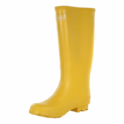 Regatta Womens/Ladies Ly Fairweather II Tall Durable Wellington Boots - 8 UK, Maize Yellow