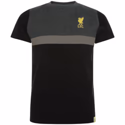 Liverpool FC Childrens/Kids Panel T-Shirt