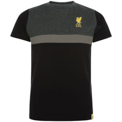 Liverpool FC Childrens/Kids Panel T-Shirt