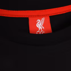 Liverpool FC Mens This Is Anfield T-Shirt - M, Black/Grey