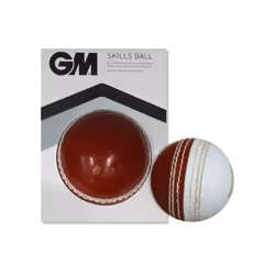 Gunn And Moore Skills Cricket Ball