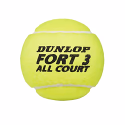 Dunlop Fort All Court Tennis Balls (Pack Of 12)