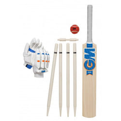 Gunn And Moore Eclipse 2022 Cricket Bat Set (Pack of 10) - 4, Brown/Blue/Orange