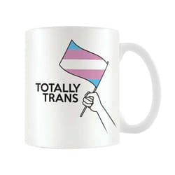 Pyramid International Transgender Mug