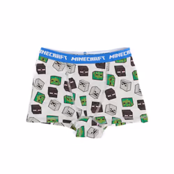 Minecraft Boys Boxer Shorts Set (Pack of 3) - 9-10 Years, Grey/Blue/Black