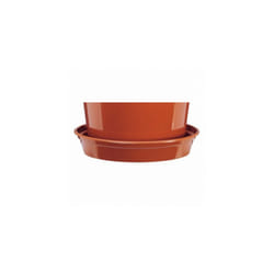 Stewart Plant Saucer - 8in, Terracotta