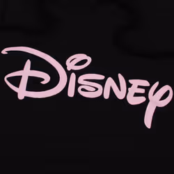 Disney Womens/Ladies Logo Hoodie - L, Black