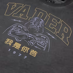 Star Wars Mens Vader 77 T-Shirt - M, Vintage Black