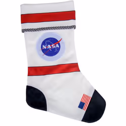 NASA ISEA Christmas Stocking