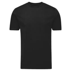 Mantis Unisex Adult Essential Heavyweight T-Shirt - XS, Black