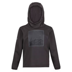 Regatta Childrens/Kids Highton Mountain Extol Stretch Hoodie - 9-10 Years, Dark Grey