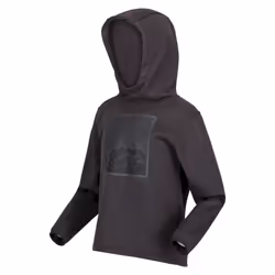 Regatta Childrens/Kids Highton Mountain Extol Stretch Hoodie - 9-10 Years, Dark Grey