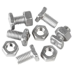 Ambassador Bolts & Nuts (Pack of 20)
