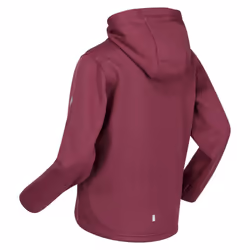 Regatta Childrens/Kids Dream Believe Achieve Extol Stretch Hoodie - 15-16 Years, Amaranth Haze