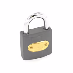 Securit Tricircle Iron Cylinder Padlock - 50mm, Silver/Grey
