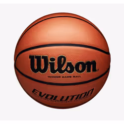 Wilson Basketball - 6, Tan