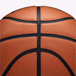 Wilson Basketball - 6, Tan