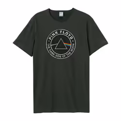 Amplified Unisex Adult Dark Side Of The Moon T-Shirt - XS, Charcoal