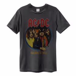 Amplified Unisex Adult Highway To Hell AC/DC T-Shirt - 3XL, Charcoal