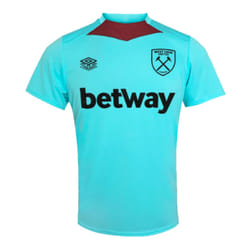 2024-2025 West Ham Training Jersey (Blue Radiance) - S