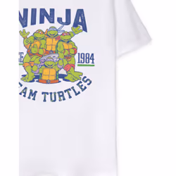 Teenage Mutant Ninja Turtles Short Sleeved T-Shirt (Mens White) - Small