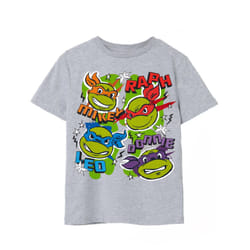 Teenage Mutant Ninja Turtles Short Sleeved T-Shirt (Unisex Kids Grey) - 13-14 Years
