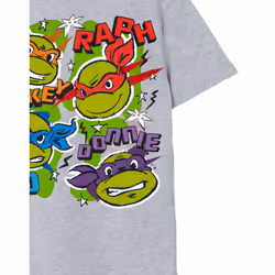 Teenage Mutant Ninja Turtles Short Sleeved T-Shirt (Unisex Kids Grey) - 13-14 Years