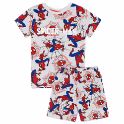 Disney Marvel Short Sleeve Short Leg Pyjama Set (Boys Grey) - 2-3 Years