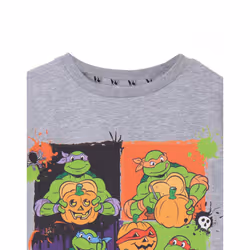 Teenage Mutant Ninja Turtles Short Sleeved T-Shirt (Unisex Kids Grey) - 3-4 Years