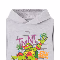 Teenage Mutant Ninja Turtles Hoodie (Boys Grey) - 3-4 Years