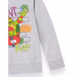 Teenage Mutant Ninja Turtles Hoodie (Boys Grey) - 3-4 Years