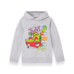 Teenage Mutant Ninja Turtles Hoodie (Boys Grey) - 9-10 Years