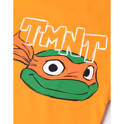 Teenage Mutant Ninja Turtles Short Sleeved T-Shirt (Boys Orange) - 4-5 Years