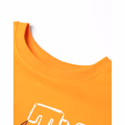 Teenage Mutant Ninja Turtles Short Sleeved T-Shirt (Boys Orange) - 4-5 Years