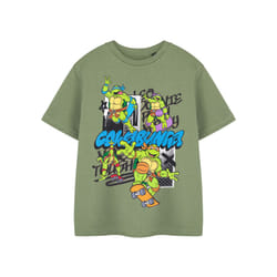 Teenage Mutant Ninja Turtles Short Sleeved T-Shirt (Boys Green) - 11-12 Years
