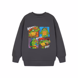 Teenage Mutant Ninja Turtles Sweatshirt (Boys Grey) - 3-4 Years