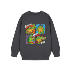Teenage Mutant Ninja Turtles Sweatshirt (Boys Grey) - 3-4 Years