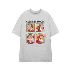 Disney Snow White and The Seven Dwarfs Short Sleeved T-Shirt (Mens Grey) - Small