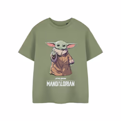 Star Wars The Mandalorian Short Sleeved T-Shirt (Boys Green) - 13-14 Years