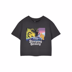 Disney Sleeping Beauty Cropped Short Sleeved T-Shirt (Womens Grey) - Small