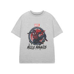 Marvel Spider-Man Short Sleeved T-Shirt (Boys Grey) - 3-4 Years