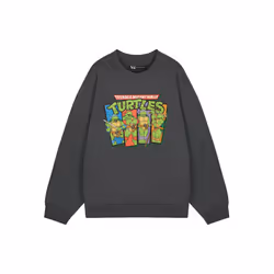Teenage Mutant Ninja Turtles Sweatshirt (Mens Grey) - Medium