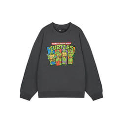Teenage Mutant Ninja Turtles Sweatshirt (Mens Grey) - Medium